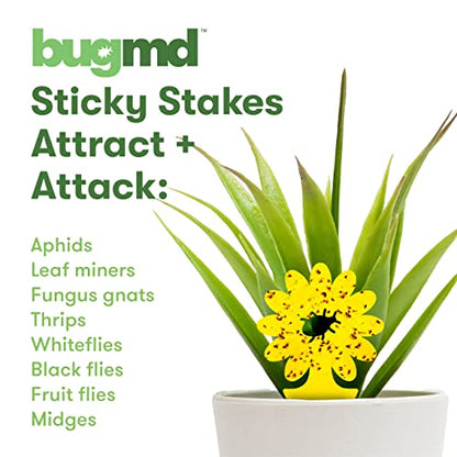 BugMD Yellow Sticky Bug Traps for Plants, 12 Pack