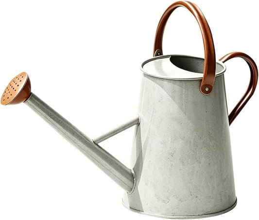 1.5 Gallon Metal Watering Can for Outdoor Plants, Watering Can, Cream Zinc - color: Zinc 1