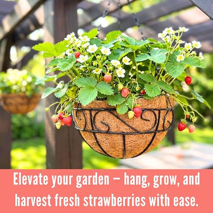 LaLaGreen Black Hanging Planter (14 in, 2 Pack) Metal Plant Pots with Chain - size: 14" (36 cm) x 2 Pack