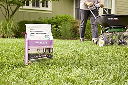 Fundamentals by Scotts Grass Seed Perennial Ryegrass Mix, 3 lbs. - size: 1 Count (Pack of 1)