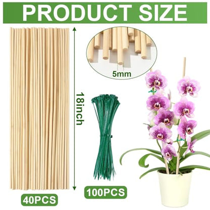 AUGSHY Bamboo Plant Stakes 18 Inch, 64 PCS Natural Bamboo Garden Stakes