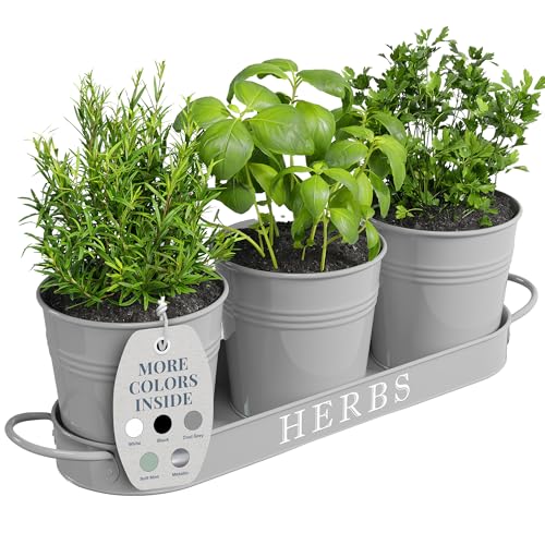 Barnyard Designs Indoor Herb Garden Planter Pots Set/3 (Cool Grey) - color: Cool Grey