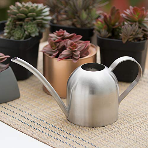 Watering Can for Indoor Plants, 450ml/15oz Stainless Steel - size: Silver 15 oz