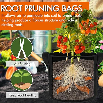 Gardzen 10-Pack 2 Gallon Grow Bags Fabric Pots with Heavy Duty Handles - size: 2 Gallons