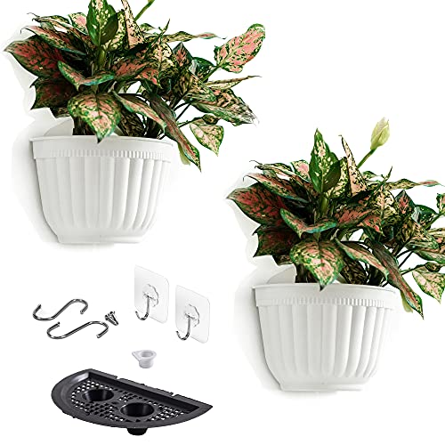 2 Pack Resin Wall Hanging Planter Pots Vertical Garden Living Wall Mount Window Hang Box Container Indoor Outdoor for Plants Flowers Kitchen Herbs Holder with Drainage Water Reservoir Decor White - size: 8 inch(2 Pack)