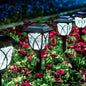 GIGALUMI 8 Pack Solar Lights Outdoor Waterproof, LED Solar Garden Lights - color: Cold White, size: 8 Pack