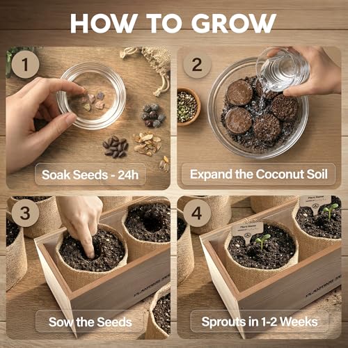 Bonsai Tree Kit Deluxe - Growing 5 Unique Japanese Bonzai Trees