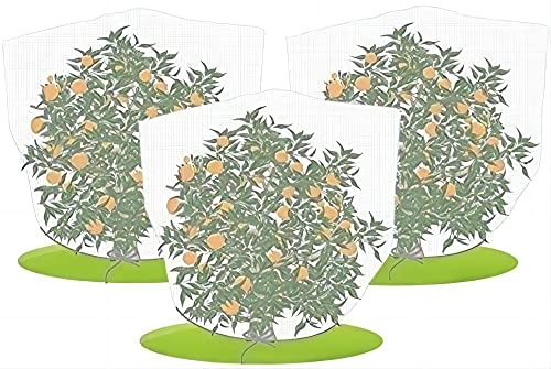 Agfabric Bird Netting 84" Hx84 W Garden Netting Insect Pest Barrier,Plant Cover Fruit Tree Netting Mesh Protection Bag with Drawstring,White,3 Pack - color: 3pack, size: 84"x84"