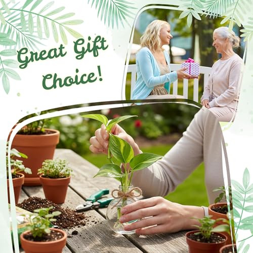 Plastic Window Propagation Stations Hanging Plant Propagation Vases
