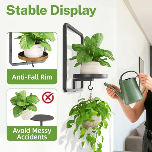 iDavosic.ly Wall Plant Picture Frame Holder Set of 2 & 2 Grow Lights, Black - color: Black with 2 Lights, size: Rectangular