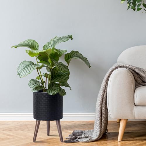 D'vine Dev Planter Pot with Wood Stand, 10 in, Matte Black, 88-Z-B-2 - color: Matte Black, size: Medium