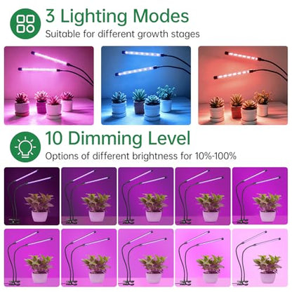 Grow Lights for Indoor Plants, Plant Light for Succulent, Seedlings
