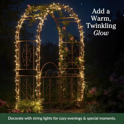 Plow & Hearth Arch Metal Outdoor Garden Arbor Double Gate | Montebello | 7 Feet Tall | Gunmetal Black | Steel Iron Trellis Lattice Climbing Plants & Heavy Vines - color: Gunmetal Montebello with Gate