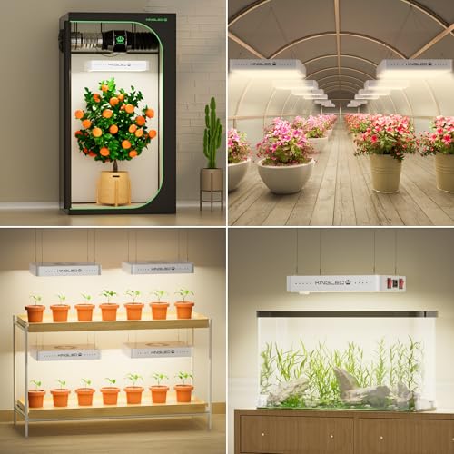 KingLED KP2000 Grow Light for Indoor Plants, Full Spectrum Plant Grow Light - size: KING2000