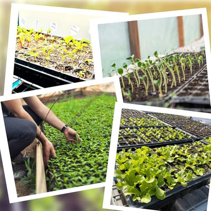 20Pack 72-Cell Seed Starter Trays with Base Tray & Dibber for Gardening. - style: 72-Cell Seed Starter Trays with Dibber