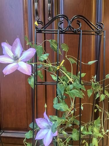ARIFARO 4Pack 37.5'' Metal Garden Trellis for Climbing Plants Outdoor - size: 37.5 inches