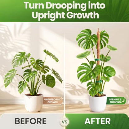 48'' Moss Pole Monstera Plant Support for Climbing Indoor Plants - size: 1-Pack (48 in)