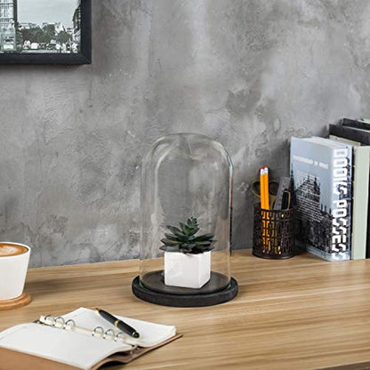 MyGift Bell Jar Glass Cloche Black Wood Base 10 Inch Display Dome - color: Black