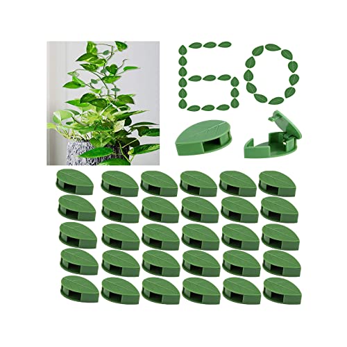 60 Pcs Plant Climbing Wall Fixture Clips Acrylic Self-Adhesive Sticker Fixer Vine Traction Invisible Holder Climbing Plant Green Leaf Vines Hook Fixing Clip Indoor Outdoor Decoration - size: 60PCS