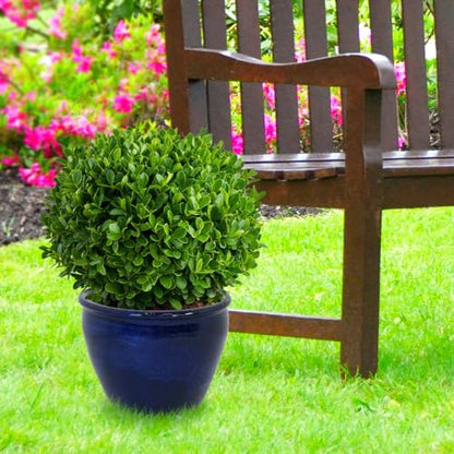 Sunnydaze Chalet 14.5" Ceramic Plant Pot, Imperial Blue Glaze