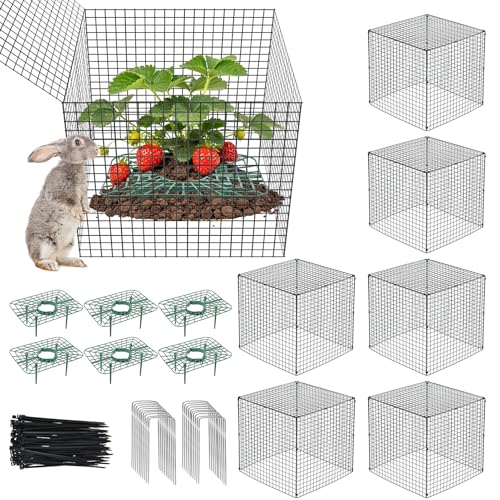 6 Set Upgraded Strawberry Protection Supports with Wire Plant Protectors from Animal Sturdy Metal Wire Plant Cages Mesh Plant Cover Strawberry Growing Racks Planting Stand for Garden,12 Inch Square