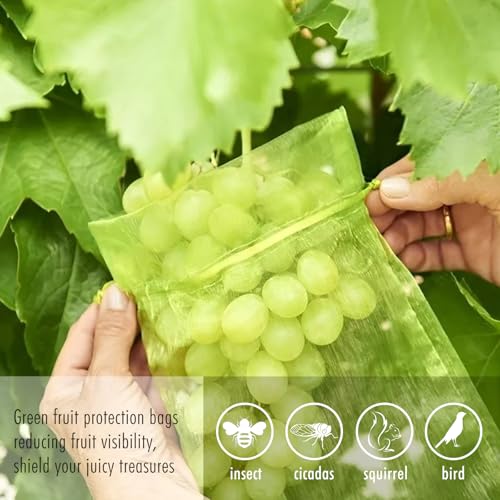 Fruit Protection Bags, Fetanten 6x8 in Mesh Drawstring Bag for Fruit Trees - size: 6 x 8 Inch 50pcs