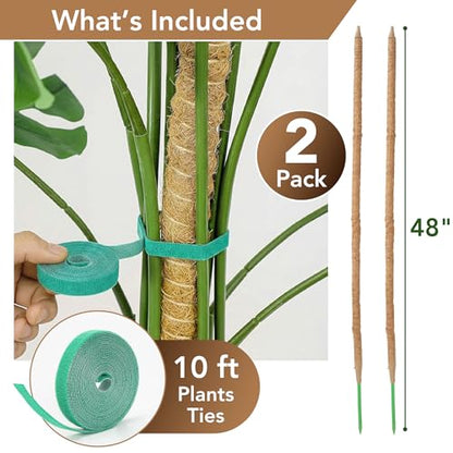 UNCO- Bendable Moss Pole Monstera Plant Support, 48 Inch, 2 Pack, 10 Feet Plant Ties, Moss Poles for Climbing Plants and Monstera Trellis