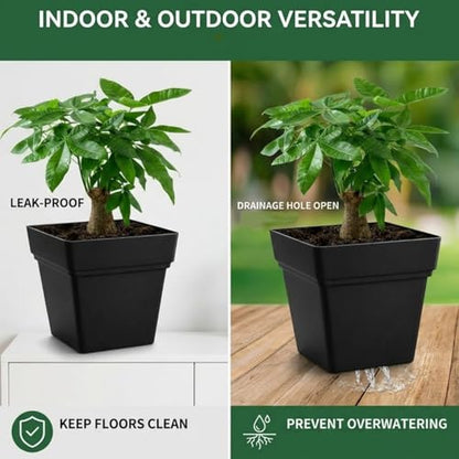 6-Pack 7 Inch Square Planters with Built-in Drainage Tray & Bottom Plug - color: Black