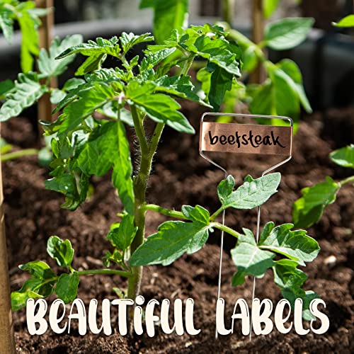 Metal Plant Labels for Garden, Waterproof Markers Outdoor Use, 25 Pack 10"