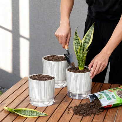3 Pack Self Watering Pots Set, 4 Inch Self Watering Pots for Indoor Plants - color: Small, 3pcs Black Stripes