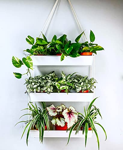 LaLaGreen Boho Wall Planter (16 in, 3 Tier) White Succulent Herb Garden - color: White, size: 16" (40.7cm) x 3 Pack White