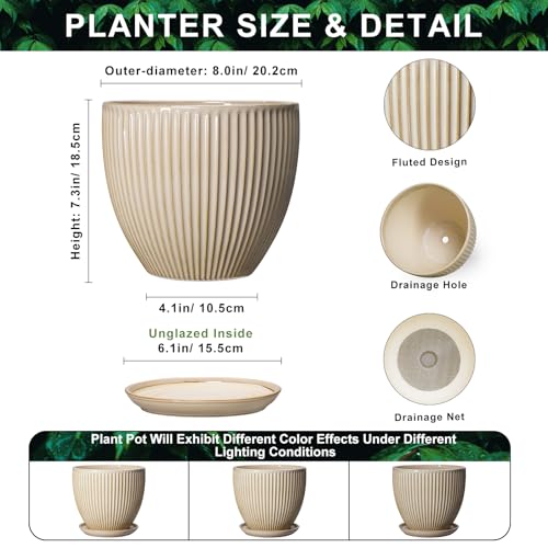 8 Inch Pots for Plants, Ceramic Planter with Saucer, Beige - color: Beige, size: 8 Inch