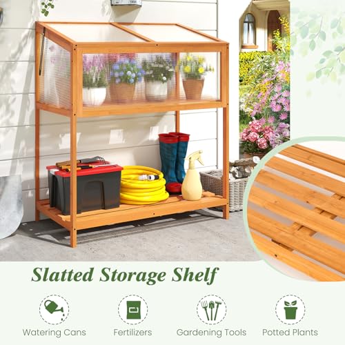 Giantex Wood Cold Frame Greenhouse, Raised Flower Planter Protection with Transparent Openable Roof & Slatted Shelf, Indoor Outdoor Hot House for Garden Balcony, 36”x20”x42” - size: 36”x20”x42”