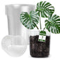 Bluepro Clear Nursery Pots with Drainage Holes, 7 Inch, 1 Gallon, 30-Pack - size: 7 Inch-30Pcs