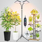 FRGROW 2Head New Stand Full Spectrum Grow Light for Indoor Large Plants - size: 2 Head-New Stand