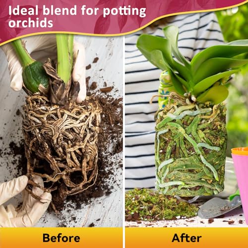 Riare 1QT Orchid Potting Mix for Repotting, Pre-Mixed & Ready-to-Use - size: 1 Quart