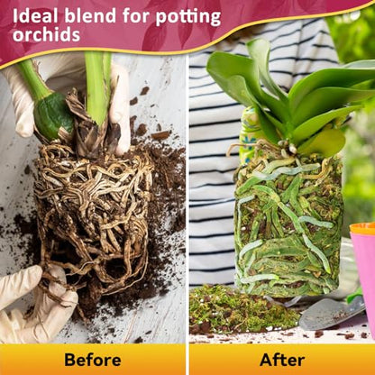 Riare 1QT Orchid Potting Mix for Repotting, Pre-Mixed & Ready-to-Use - size: 1 Quart
