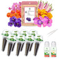 Flower Seed Pod Kit Mix of 6 Different Included Pansy, Cosmos, Zinnia, Marigold, Snapdragon, Cascading Petunia Flower Seed Starter Pod Kit for Hydroponics Growing System with Plant Food, 8-Pod - color: Flower