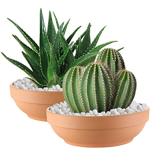 Laerjin Terracotta Pots with Drainage Holes, Large 2 Pack, 8.66 Inch - size: 8.66 inch