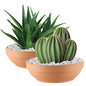 Laerjin Terracotta Pots with Drainage Holes, Large 2 Pack, 8.66 Inch - size: 8.66 inch