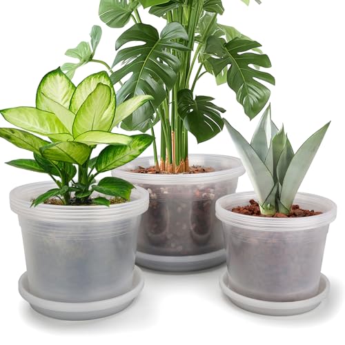 8/10/12 Inch Clear Nursery Pots with Drainage and Sacuers, 15 Pack Plastic Pots for Plants Indoor Outdoor, Variety Large Clear Pots for Flowers, Succulents (8/10/12inx5pcs) - size: 8/10/12inx5pcs