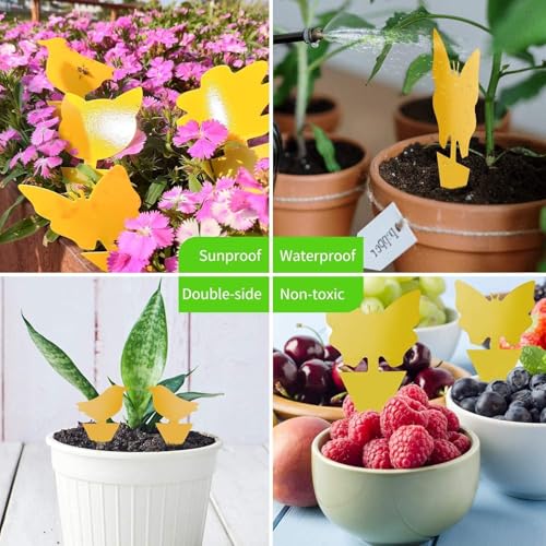 LFSYS 64 Pcs Yellow Sticky Fruit Fly Traps for Indoors Gants Plants