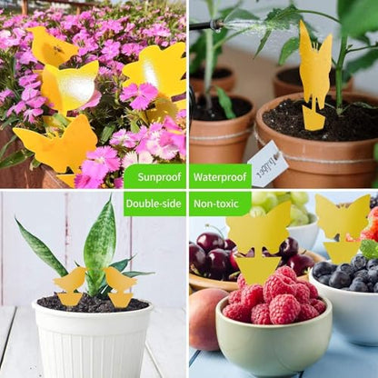 LFSYS 64 Pcs Yellow Sticky Fruit Fly Traps for Indoors Gants Plants