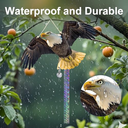 2PCS Flat Fake Hawk to Keep Pigeon Away from Balcony - color: Black Hawk（2） 2pcs