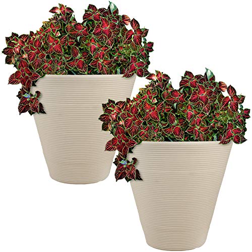 Sunnydaze Walter 15.5" Plastic Planter Pot for Plants, White, 2pk
