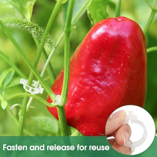 PEASUG 150 Pcs Plant Clips 0.25 Inch Hole for Climbing Tomato Grape Vine