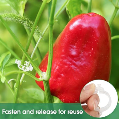 PEASUG 150 Pcs Plant Clips 0.25 Inch Hole for Climbing Tomato Grape Vine
