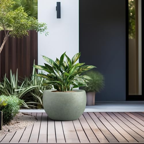 Kante Accent Round Bowl Mint Green Concrete Planter 15.7" Dia, Outdoor - color: Mint Green, size: 15.7" d
