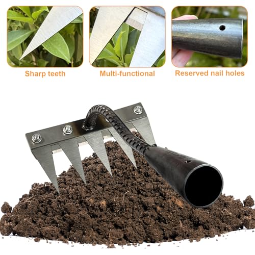 Ironrake The Heavy-Duty Iron Weeding Rake,1pc Iron Rake with 5 Metal Tines - size: 5 TINES