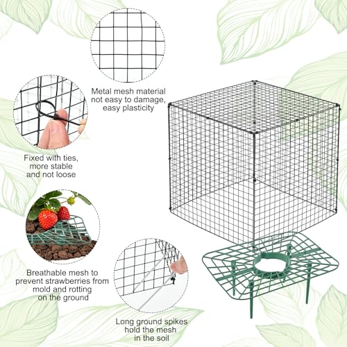 6 Set Upgraded Strawberry Protection Supports with Wire Plant Protectors from Animal Sturdy Metal Wire Plant Cages Mesh Plant Cover Strawberry Growing Racks Planting Stand for Garden,12 Inch Square